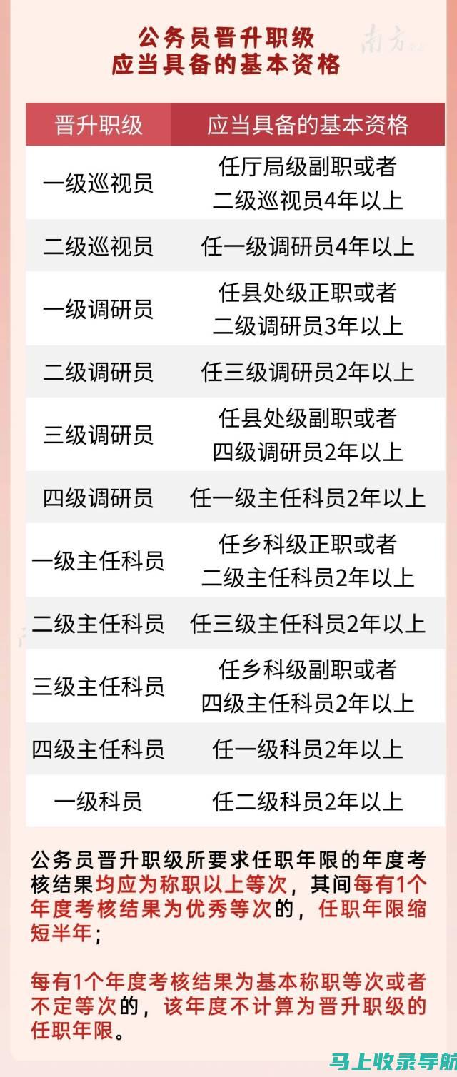 站长职位级别的多维度解读：从行业趋势到个人成长